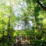 gallery-025