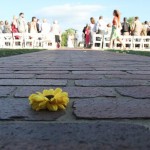 gallery-035